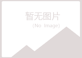 象山区白山水泥有限公司